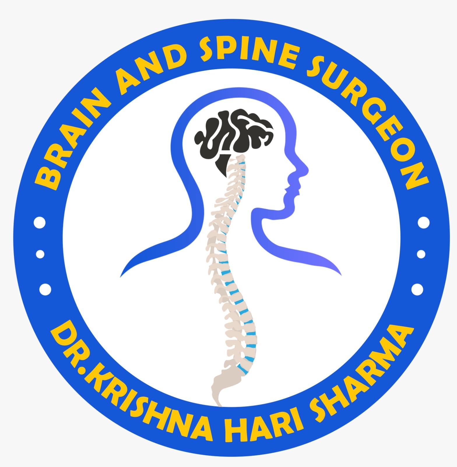 Nasa Brain and Spine Centre, Jalandhar logo